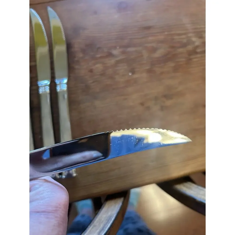 Wallace Zenith Frost‎ Glossy Steak Knife 9.5” Set of 4 heavy stainless steel EUC